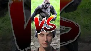DayZ - Кукурузка VS Горилла #dayz #дейз