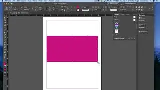 InDesign CC 2020 - Scaling Objects