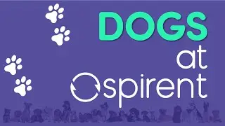 Spirent Celebrates International Dog Day!