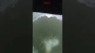 Spearfishing Northern Pike!