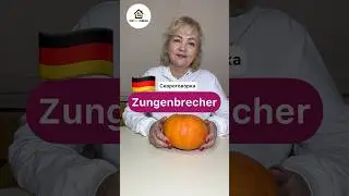 Скороговорка о мухах на 🇩🇪. Долгие звуки в немецком языке для начинающих