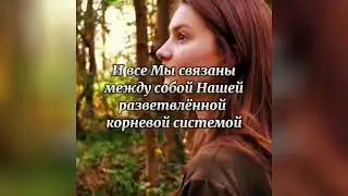 Берегите память Рода!🙏