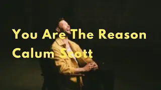 You Are The Reason - Calum Scott (Lyrics)