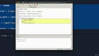 4. Debugging with Thonny || 9. Beginner Word Game Practice || Python Professional Course