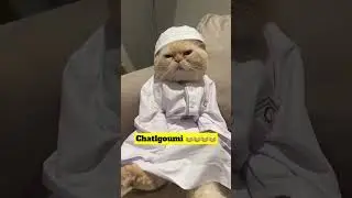 Alors vous en pensez quoi ? 😂😂