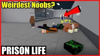 Prison Life Weirdest Noobs