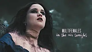 ► Multifemales | In the Air Tonight [unfinished project #1]