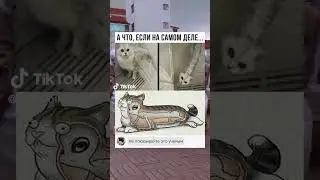 😂😂 #shorts #ютуб #прикол #мем #мемы #юмор #funny #смех