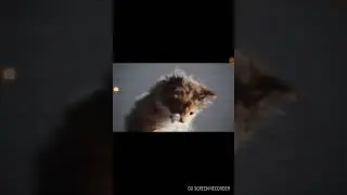 12 марта 2018 г.
