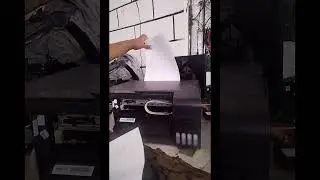 Epson  L3110 blinking power, ink and paper light at the same time. Scanner error