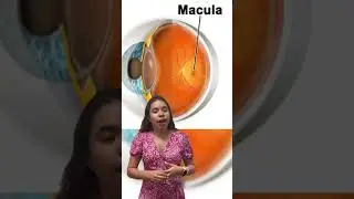 JAMÁS puntes un láser al ojo si no quieres quedarte ciego 👀🚫