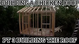 Building a Chicken Coop Pt. 3 - Building The Roof