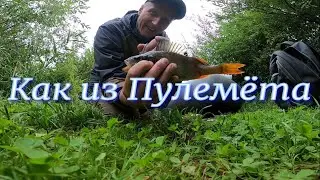 Этот Воблер Убийца Окуней Как из Пулемёта На каждом Забросе