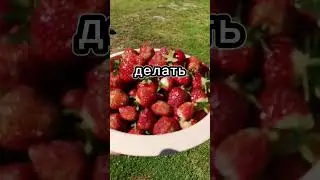 Клубника😊 #ГалинаЛубинская #фаберлик #клубника