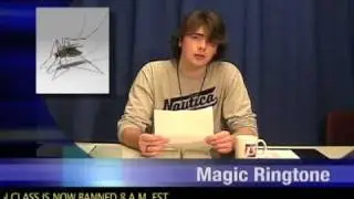Mayo Mania Ringtone Story