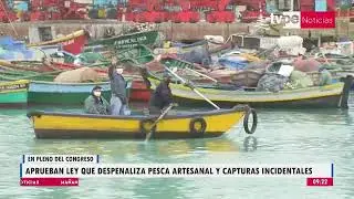 Congreso aprueba ley que despenaliza la pesca artesanal y las capturas incidentales