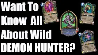 Wild Class Overviews: DEMON HUNTER!