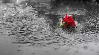 Rain music is very gentle video