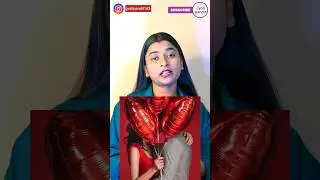 Dark side of Valentine's day💔|| #jyotipandit #shortvideo #shorts #short