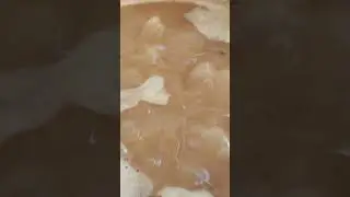 viasztestek