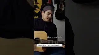 Dil Jhoom - Gadar 2 | Guitar Cover | Sonu Negi Huksi  @SoulfulArijitSingh #shorts #music #love