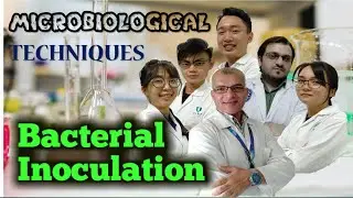 Bacterial Inoculation Techniques