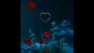 #жолыққан_қандайжақсы