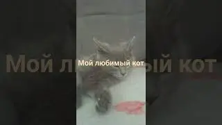 угадайте почему попёр контент