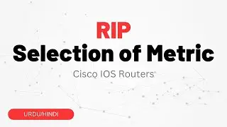 RIP Metric Selection: Configuring RIP with Different Metrics at the Same Time | Urdu/Hindi