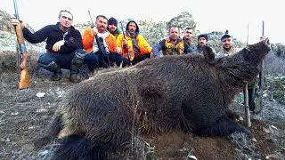 Wild Boar Hunting.Karda Domuz Avı.