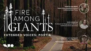 Fire Among Giants: Extended Voices Podcast — Portia Halbert