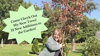 Planting Trees - 12 New Additions to the Garden