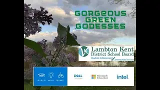 Gorgeous Green Goddesses