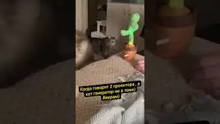 Реакция Кота Генератора на Проекторский спич #дизайнчеловека #викрамдизайнчеловека
