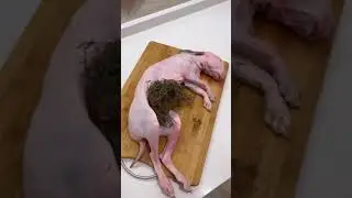 好久没吃兔子了，今天用乡村的方式把它烤了One minute gourmet