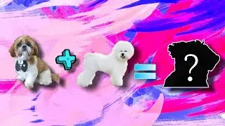 misturas de raças caninas