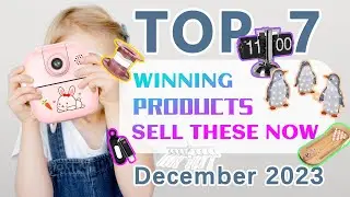 Wefulfil Top Winning Products
