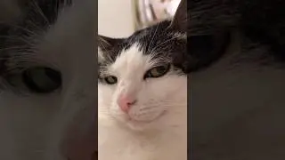 Name this expression