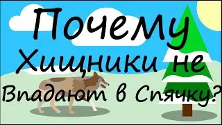 Как животные готовятся к зиме? Какие животные впадают и не впадают в спячку?
