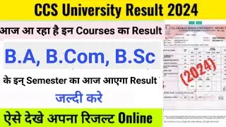CCSU BA, B.Sc, B.Com result 2024 | CCSU Result Update 2024 | CCSU 1 September Result update today