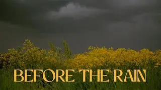 Before the rain