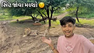 જંગલ સફારી 🦁 | Ambardi Safari Park | Asia Largest Lion | jungle Safari Gir Forest