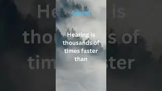 #16 Hearing is Our Fastest Sense