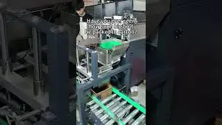 Big bolt carton filling system --Focus Machinery #packingmachine #hardware #boltpackingmachine
