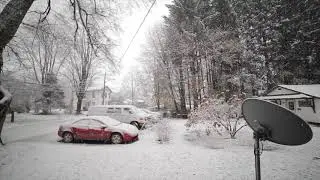 Winter Vibes