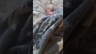 Любимый плед🥰
