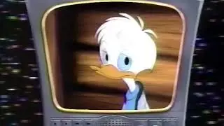 Quack Pack Syndication Bumper Compilation (1996)