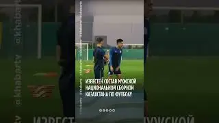 Стал известен состав мужской национальной сборной Казахстана по футболу 