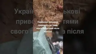 Боже бережи їх 🙏🏻