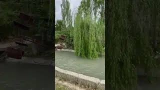 26 июня 2024 г.